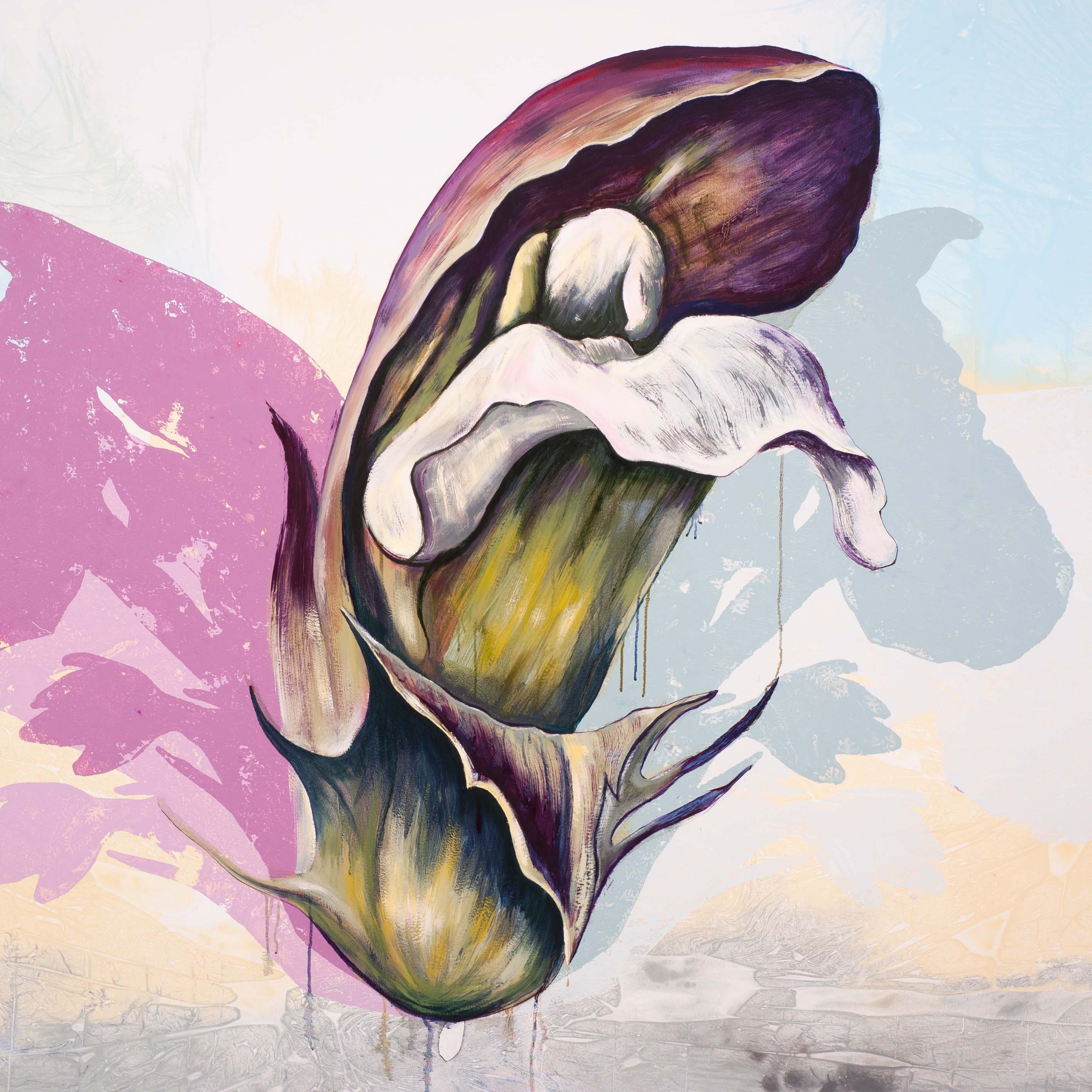 Acanthus mollis (detail)