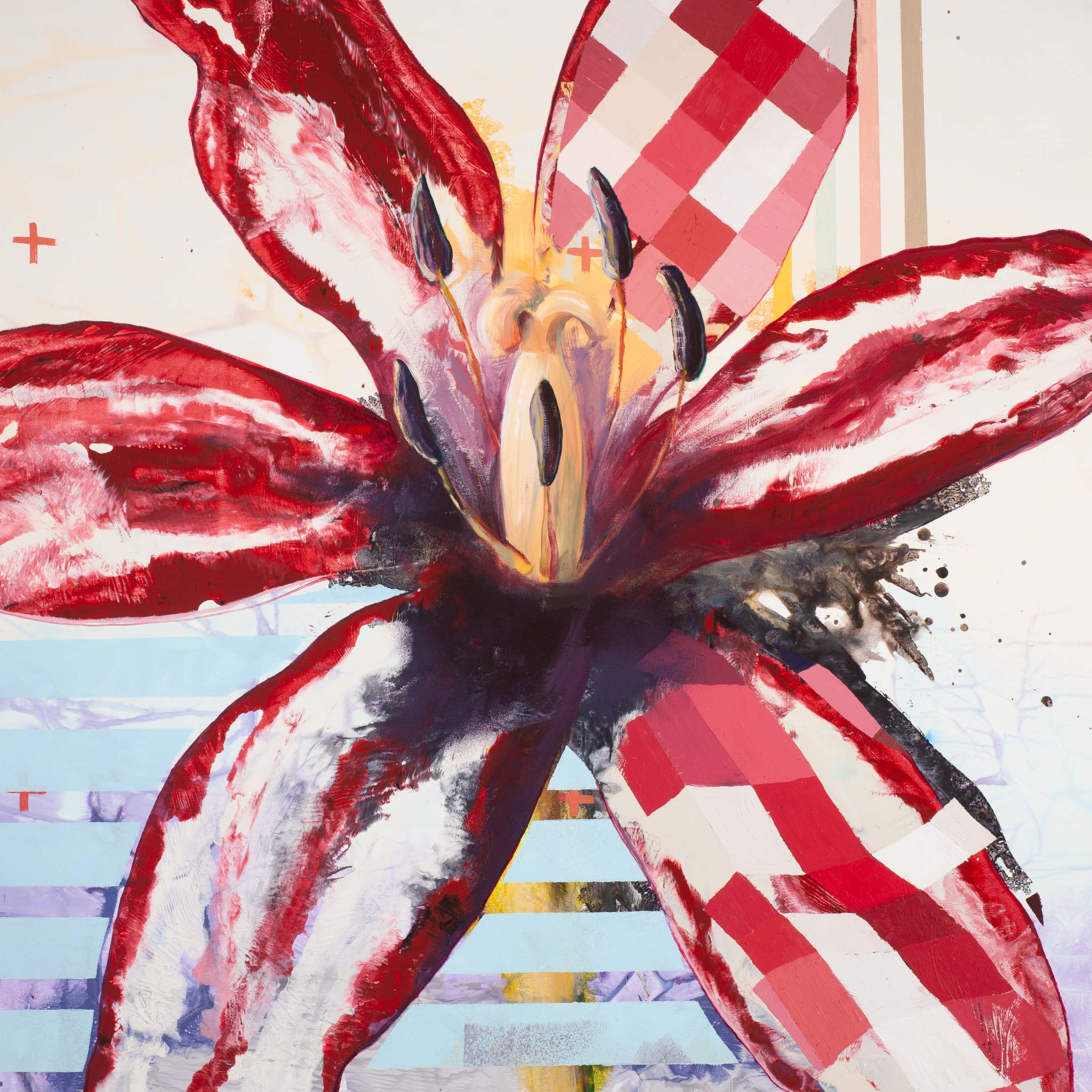 Tulipa gesneriana (detail)