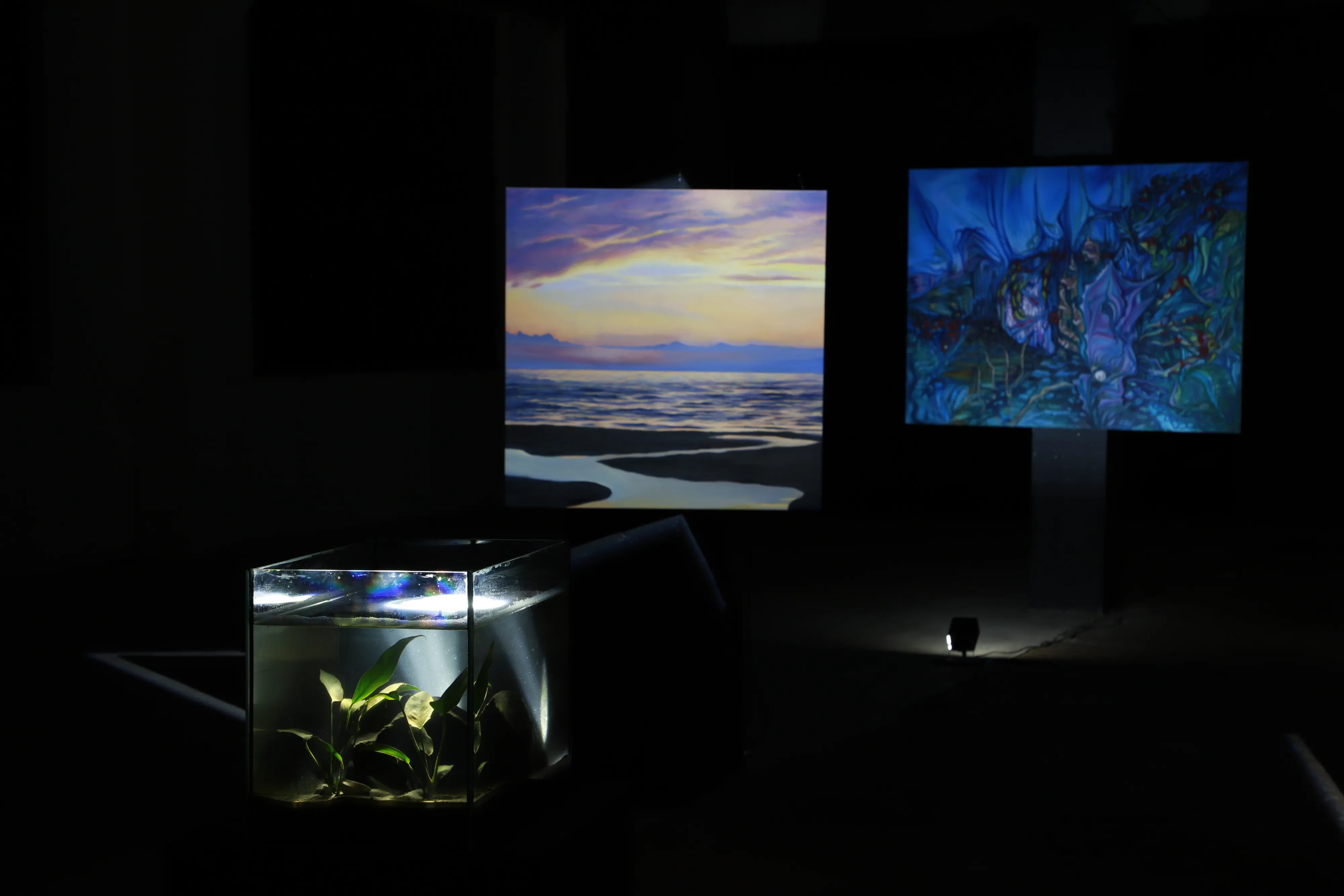 IXO @ Raiņa kvartāls