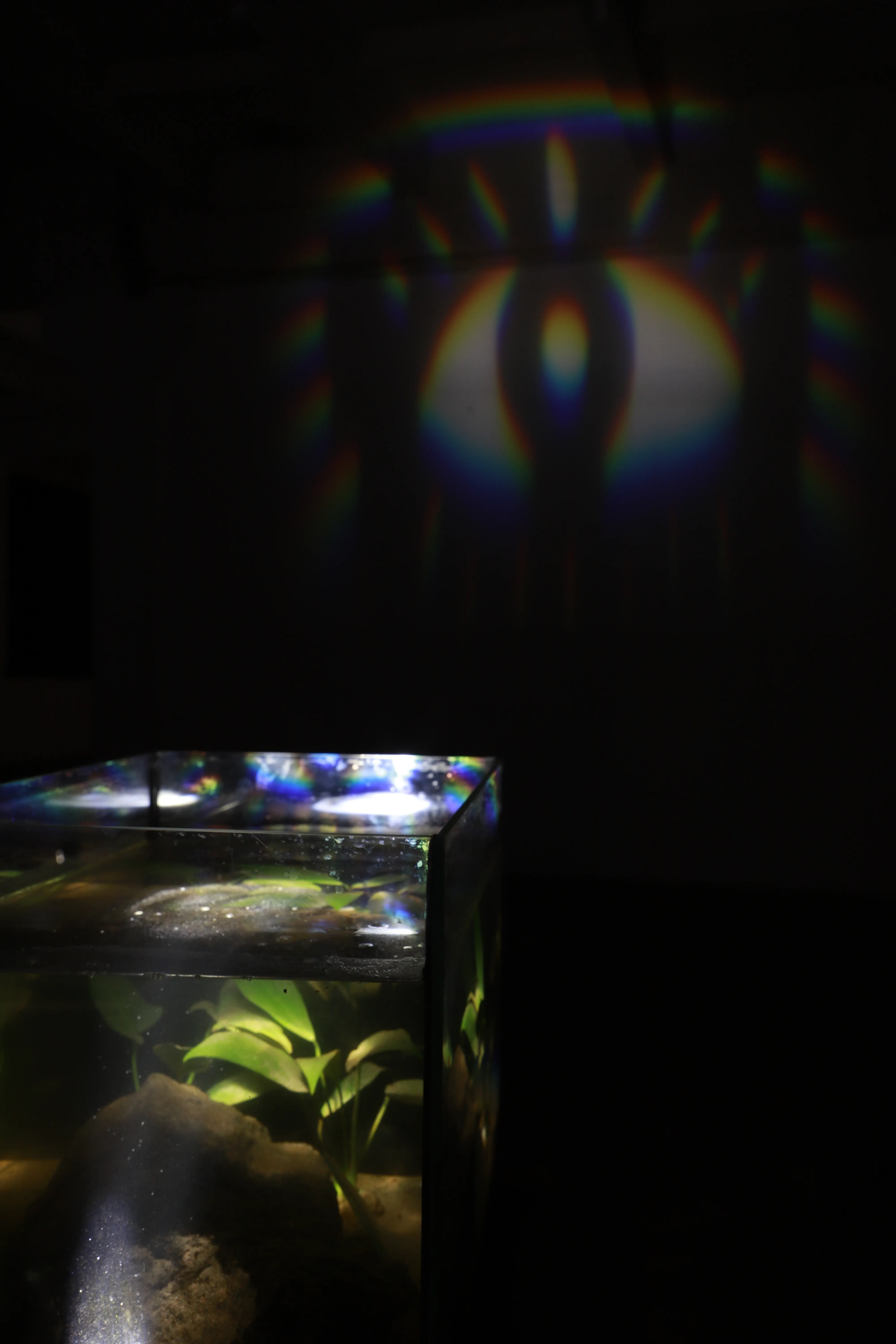 IXO @ Raiņa kvartāls